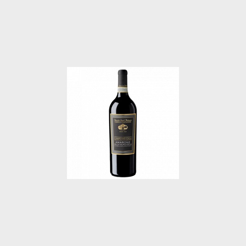 TENUTA SANT'ANTONIO CAMPO DEI GLIGLI AMARONE DELLA VALPOLICELLA 750 ML